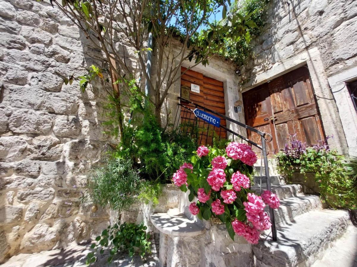 Bluemarine Rooms & Apartments Perast Exterior photo